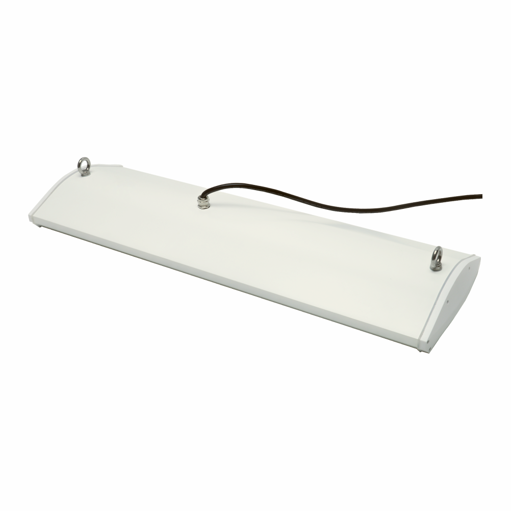 Hydroproof Led NSF