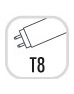 t8.jpg